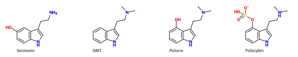 psilocybine, dmt, serotonine